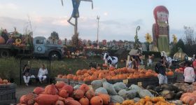 Delaware County PA and Surrounding Area Weekend Events and Fall Family Fun 10/4 – 10/6