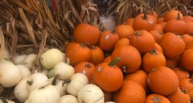 Delaware County PA and Surrounding Area Weekend Events and Fall Family Fun 11/1 – 11/3