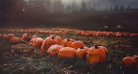 Fun Things to Do in Delaware County PA and Surrounding Areas this Weekend 10/9 – 10/11