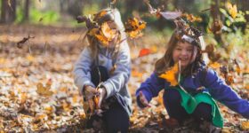 Fun Things to Do in Delaware County PA and Surrounding Areas this Weekend 11/13 – 11/15